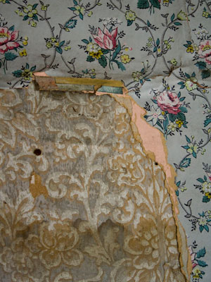 Series Title: Abstracts of the Broken and Used.</br></br> Series Info: I am fasinated with objects that have been thrown away or left to rot. I often find stories, personality traits, and feelings in each unquie setting. </br></br>  Image Title: Intimacy </br></br> Details: Layers of wallpaper peeling away.