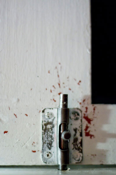 Series Title: Abstracts of the Broken and Used.</br></br> Series Info: I am fasinated with objects that have been thrown away or left to rot. I often find stories, personality traits, and feelings in each unquie setting. </br></br> Image Title: Locked Door </br></br> Details: Paint clips off this old, locked stall door that has been turned on its side.