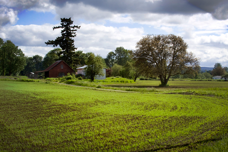 Chehalis, WA, 2010