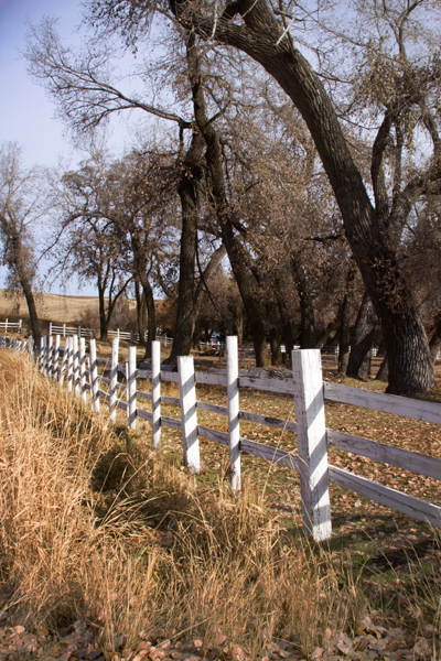 Colfax, WA, 2011