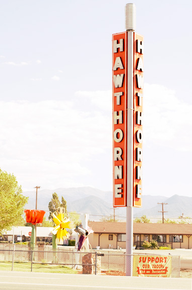 Hawthorn, NV, 2010